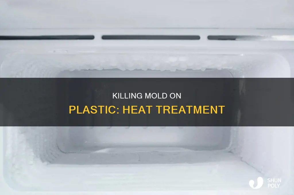 does heat kill mold on plastic
