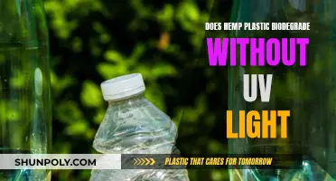 Hemp Plastic: Biodegradation Without UV Light