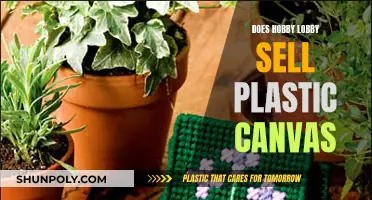 Hobby Lobby's Plastic Canvas Crafts