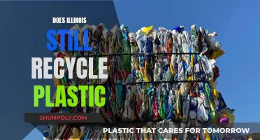 Illinois' Plastic Recycling: Past, Present, and Future