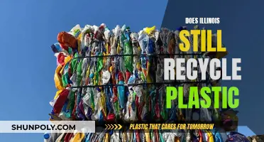 Illinois' Plastic Recycling Future: What's the Status?
