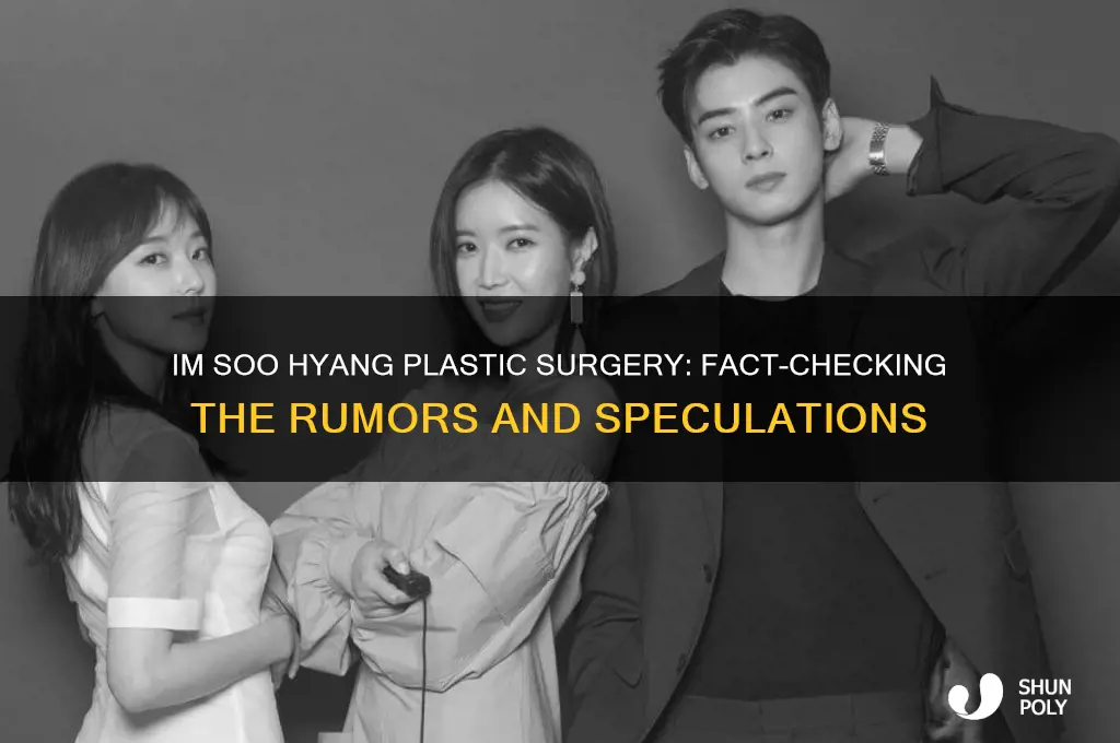 does im soo hyang have plastic surgery