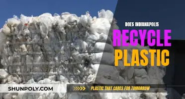 Indianapolis' Plastic Recycling Efforts: What You Need to Know