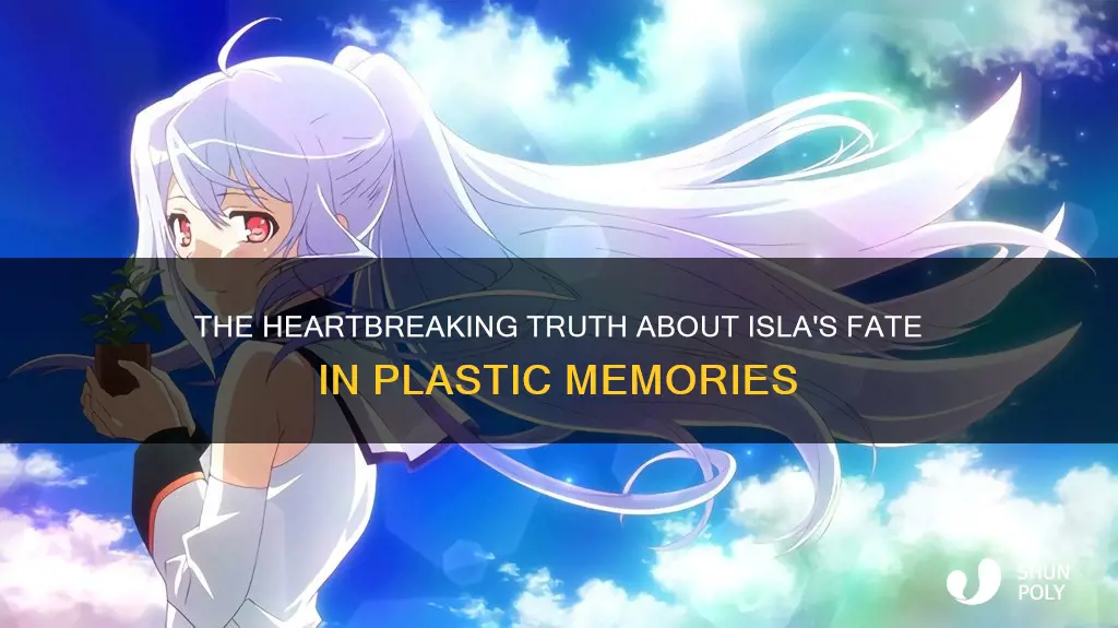 does isla die in plastic memories