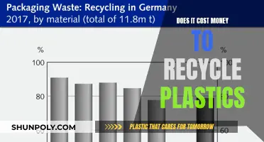 Recycling Plastics: Uncovering the Cost and Benefits