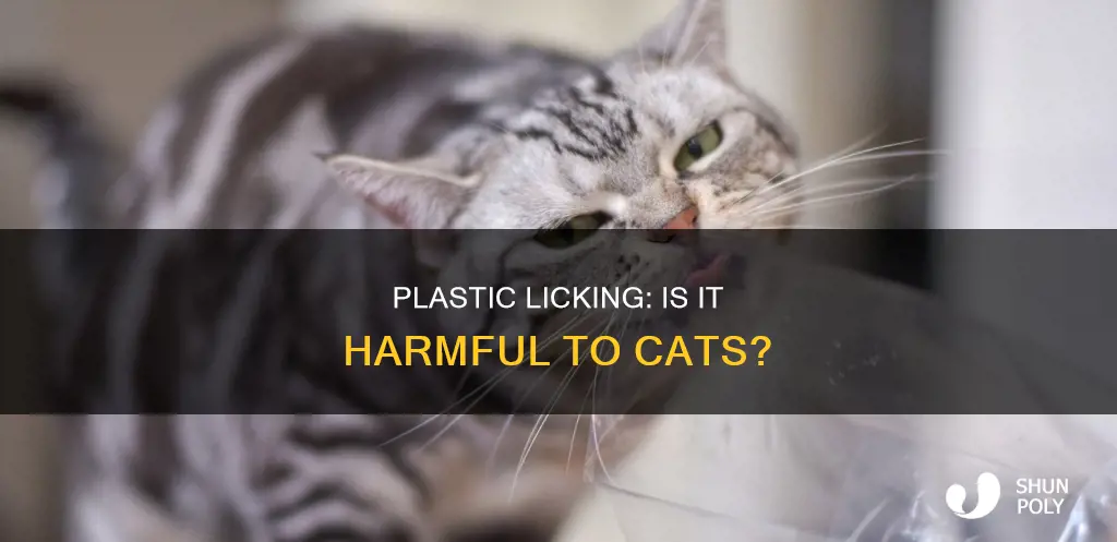 does it hurt cats to lick plastic