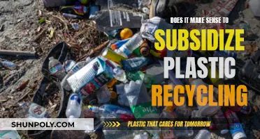 Should We Subsidize Plastic Recycling? A Cost-Benefit Analysis