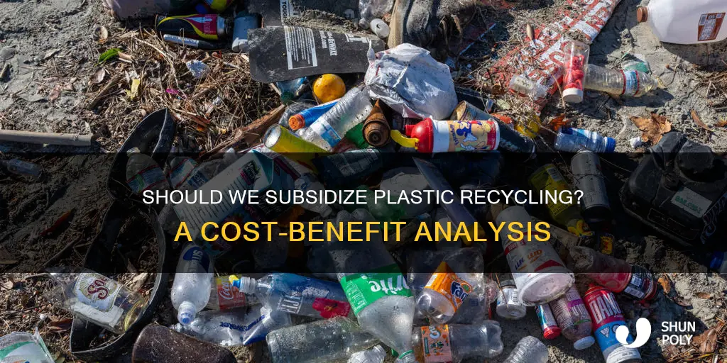 does it make sense to subsidize plastic recycling