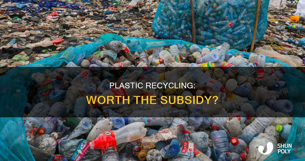 does it make sense to subsidize plastic recycling