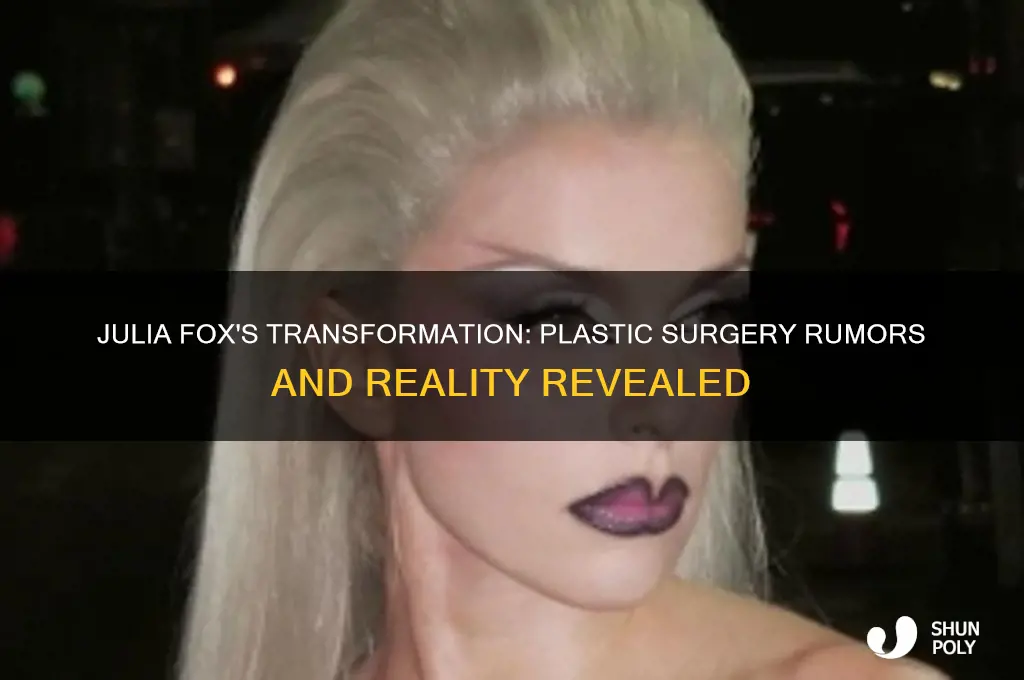 does julia fox have plastic surgery