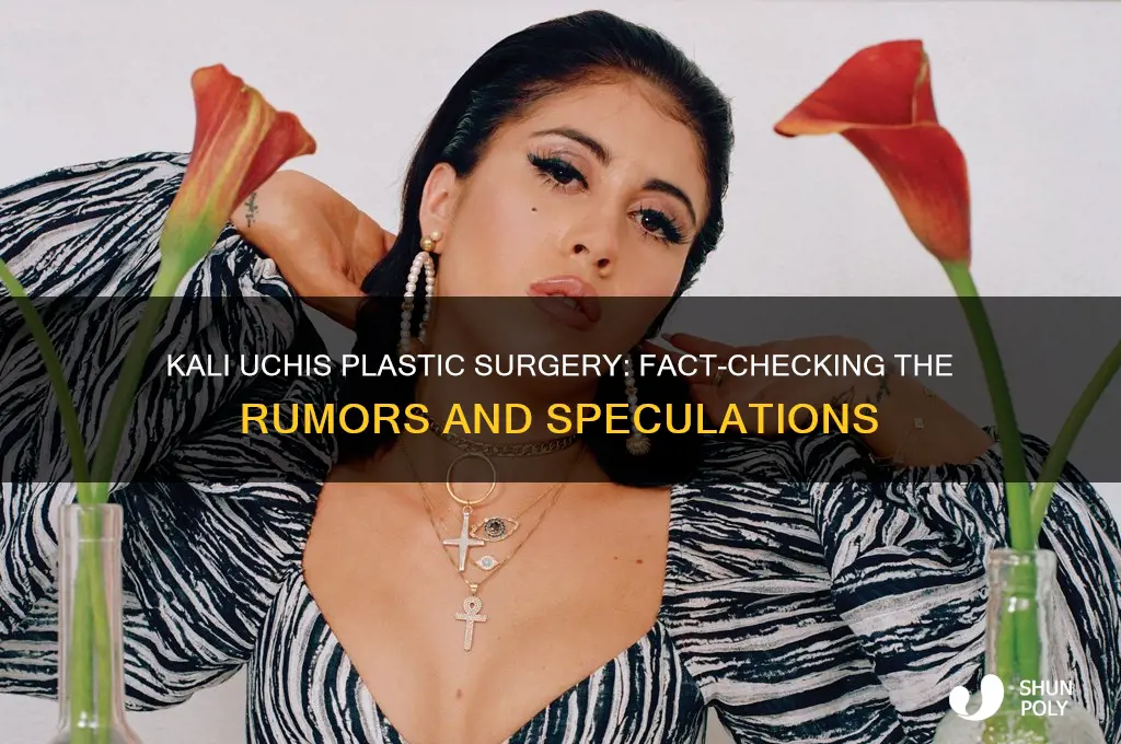 does kali uchis have plastic surgery