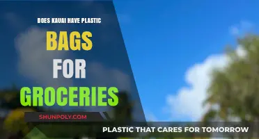 Kauai's Grocery Bag Policy: Are Plastic Bags Still Available?