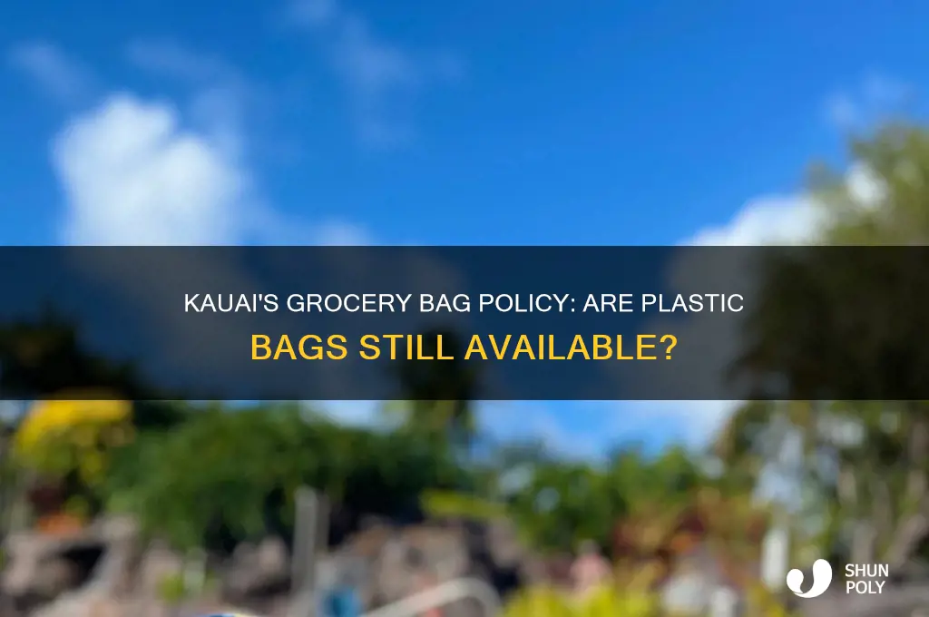 does kauai have plastic bags for groceries
