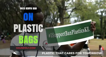 Kenya's Plastic Bag Ban: Environmental Impact and Economic Implications