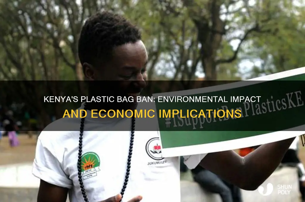 Kenya's Plastic Bag Ban: Environmental Impact And Economic Implications