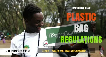 Kenya's Plastic Bag Ban: Regulations, Impact, and Environmental Progress