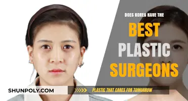 Korea's Plastic Surgery Excellence: Unmatched Skill or Global Myth?