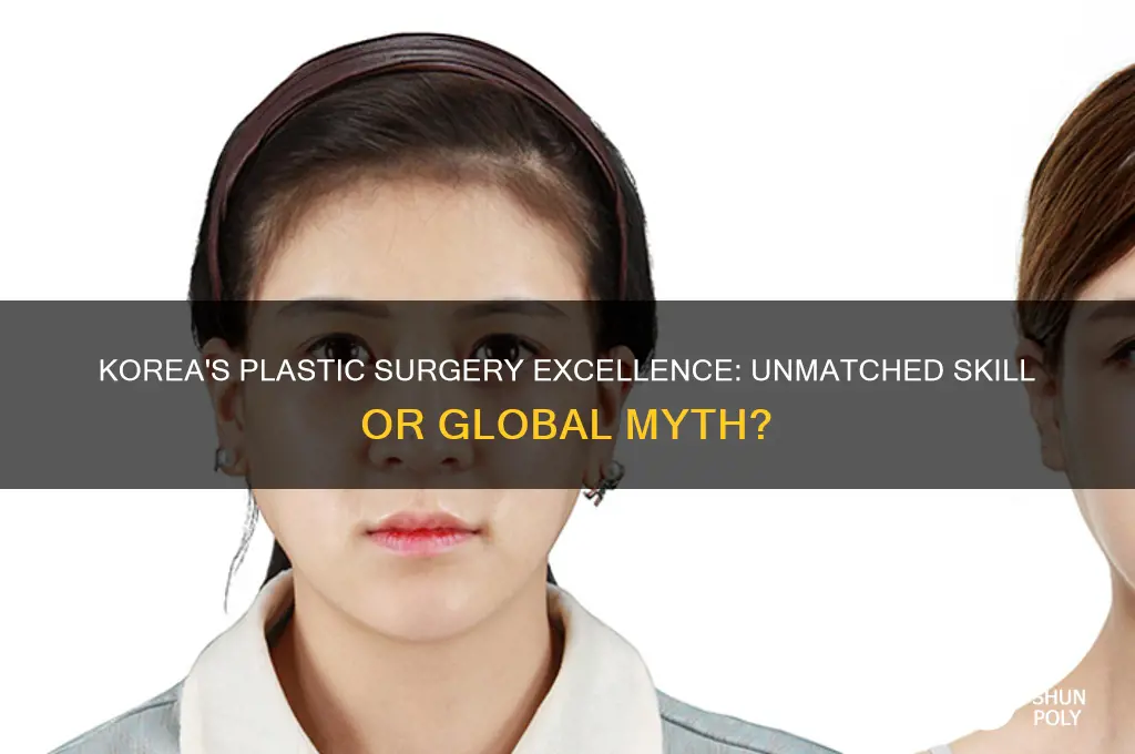 does korea have the best plastic surgeons