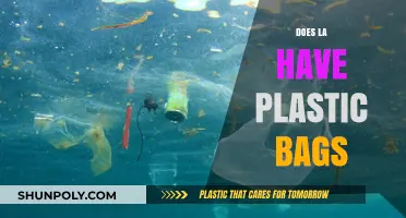 Are Plastic Bags Still Allowed in Los Angeles? Find Out Here