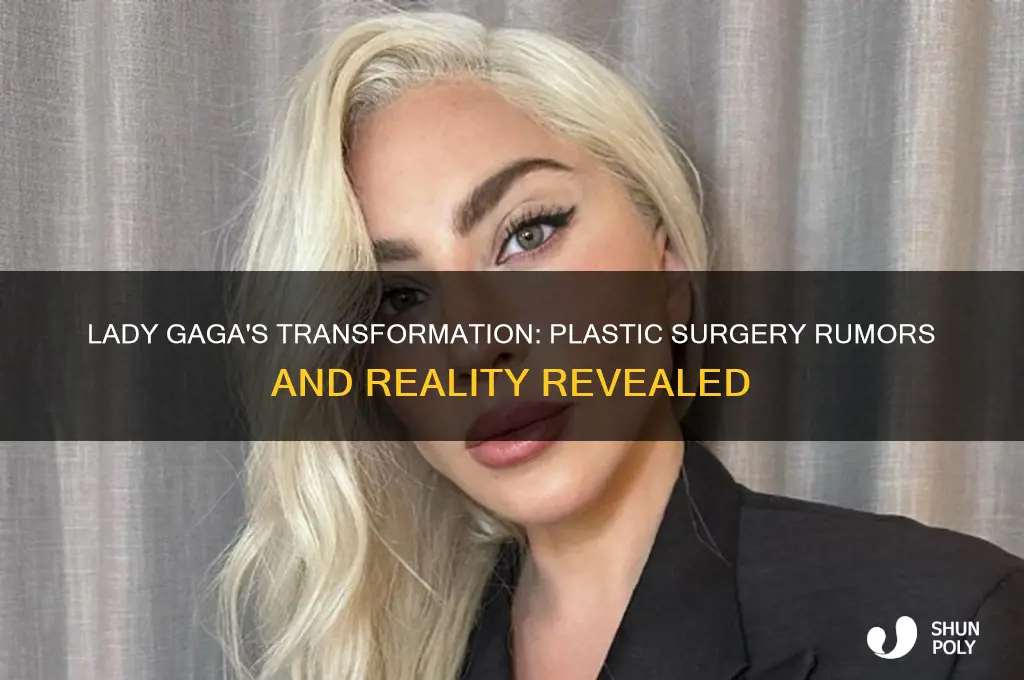 does lady gaga have plastic surgery