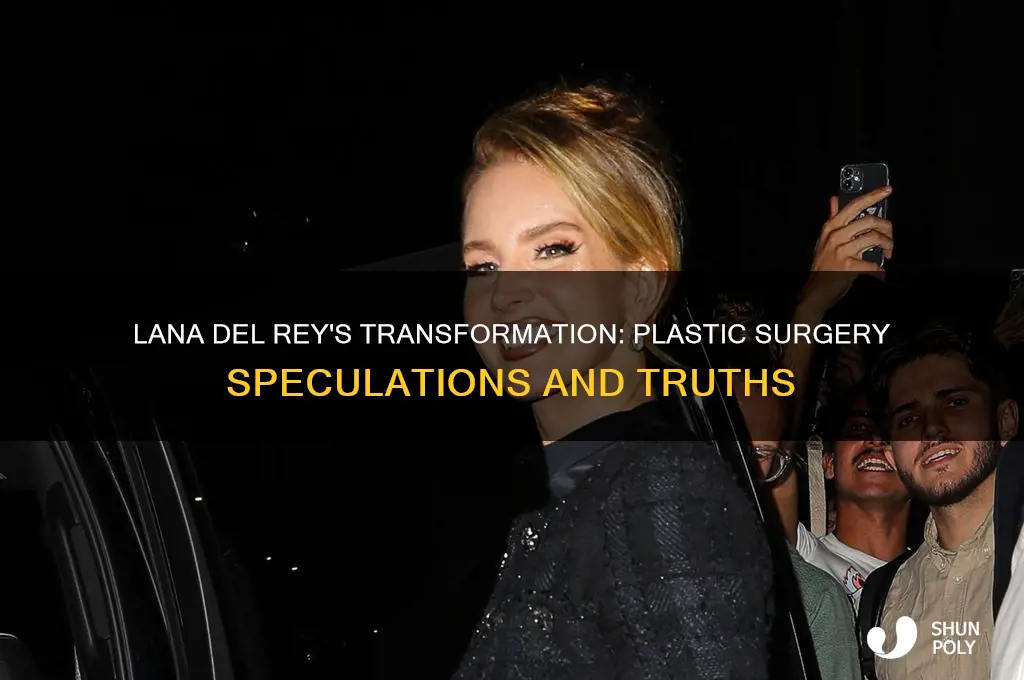 does lana del rey have plastic surgery
