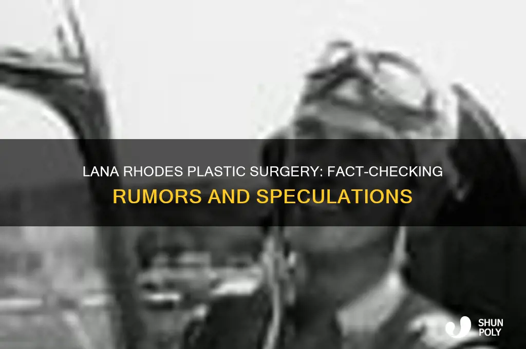 does lana rhodes have plastic surgery