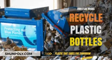 Las Vegas Plastic Bottle Recycling: Facts, Challenges, and Sustainability Efforts
