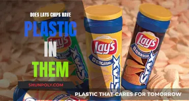 Lays Chips: Plastic or Not?
