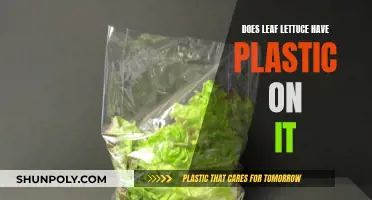 Leaf Lettuce: Is Plastic Wrap Necessary?