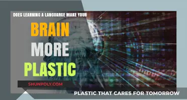Unlocking Brain Plasticity: How Language Learning Enhances Cognitive Flexibility