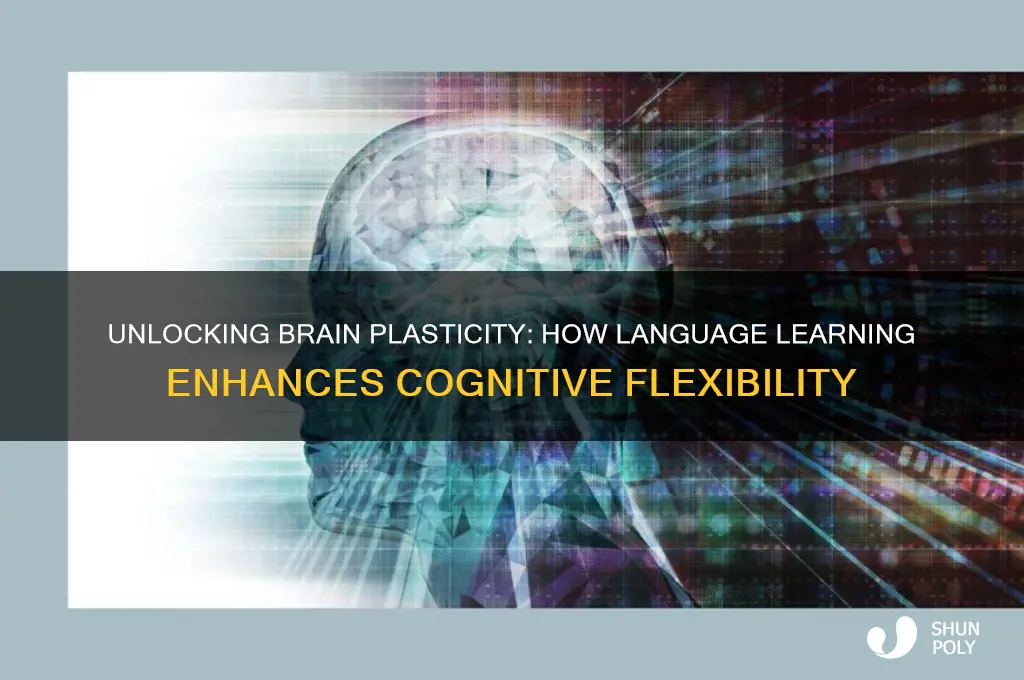 does learning a languarge make your brain more plastic
