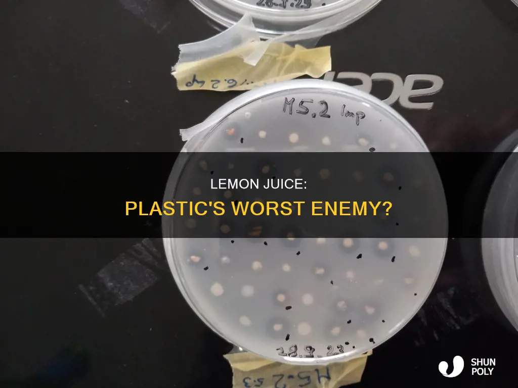does lemon juice break down plastic