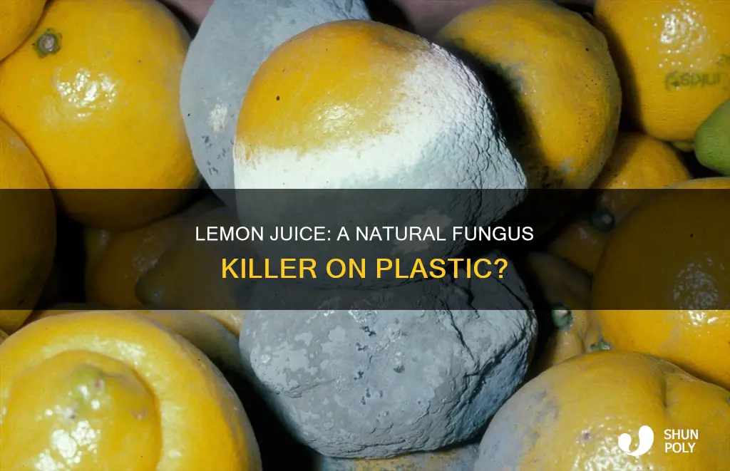 does lemon juice kill fungus on plastic