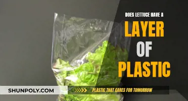 Unveiling Lettuce's Plastic Layer: Fact or Fiction?