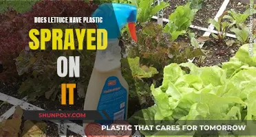 Lettuce and Plastic: What's the Deal?