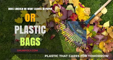 Lincoln NE Leaf Disposal: Paper or Plastic Bags Preferred?