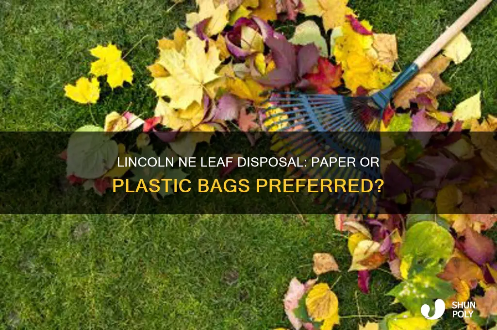 does lincoln ne want leaves in paper or plastic bags