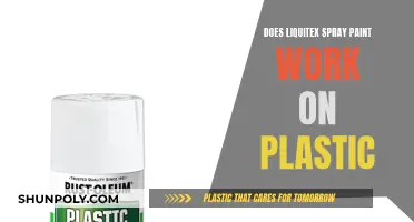 Liquitex Spray Paint: Can You Use It on Plastic?
