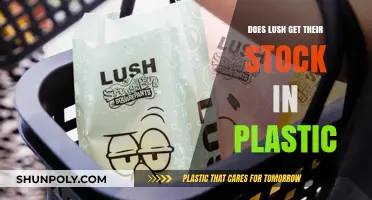 Lush's Packaging Practices: Plastic-Free or Still Relying on Plastic?