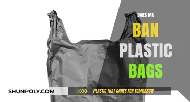 Massachusetts Plastic Bag Ban: Impact, Alternatives, and Environmental Benefits