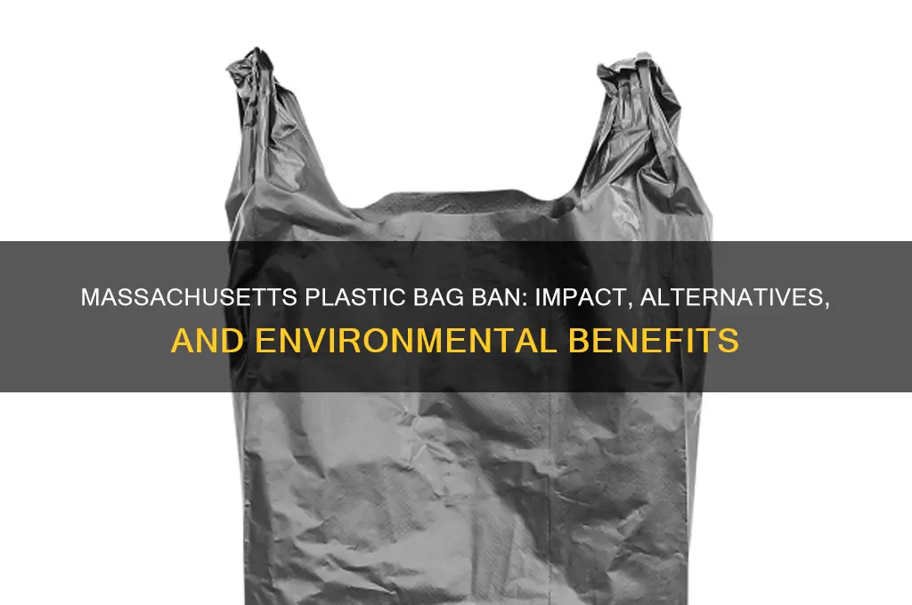 does ma ban plastic bags