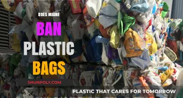 Maine's Plastic Bag Ban: What You Need to Know