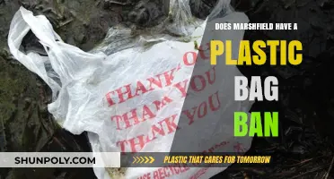 Marshfield's Plastic Bag Ban: What You Need to Know