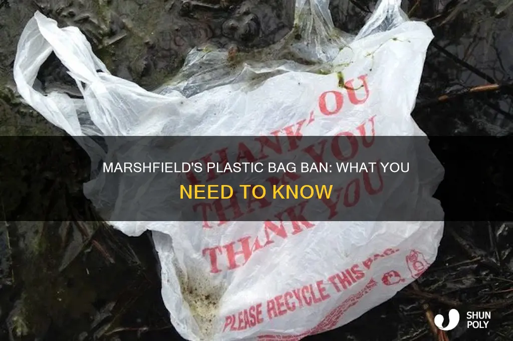 does marshfield have a plastic bag ban