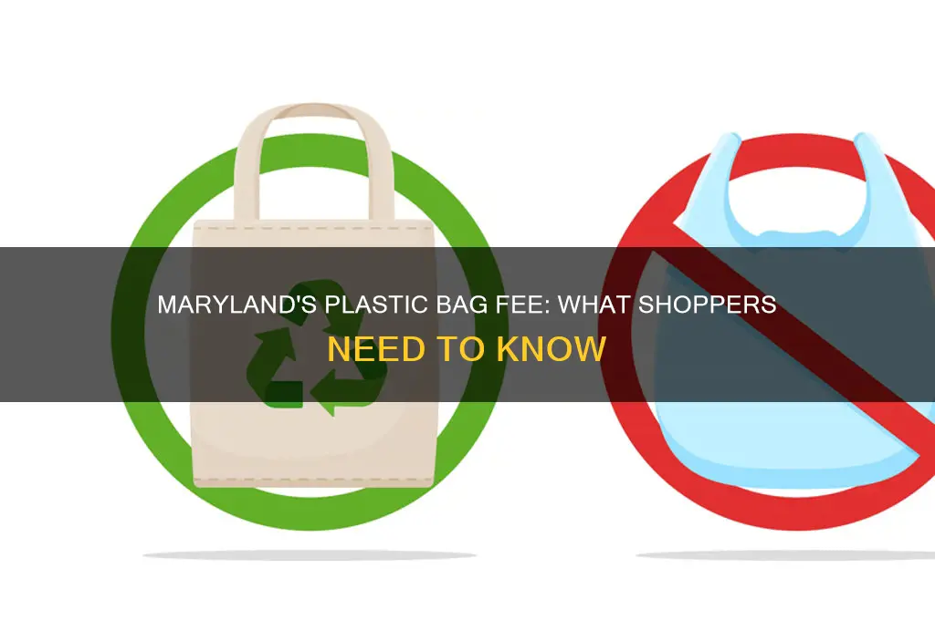 does maryland charge for plastic bags
