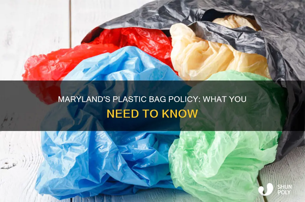 Maryland's Plastic Bag Policy: What You Need To Know | ShunPoly