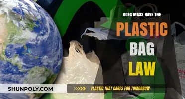 Does Massachusetts Have a Plastic Bag Ban? Exploring the Law
