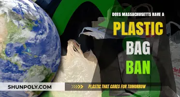 Massachusetts Plastic Bag Ban: What You Need to Know
