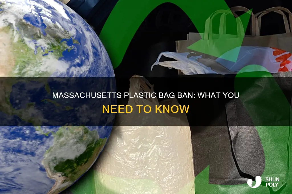 does massachusetts have a plastic bag ban
