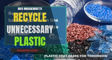 Massachusetts' Plastic Recycling Revolution: Uncovering the Truth